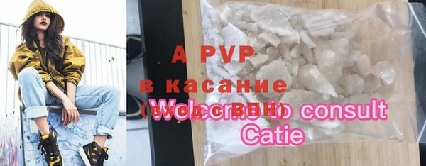 индика Елизово