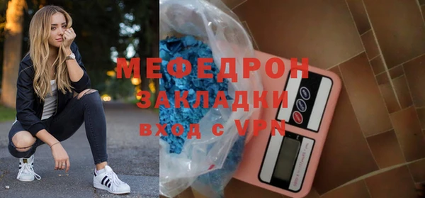 индика Елизово