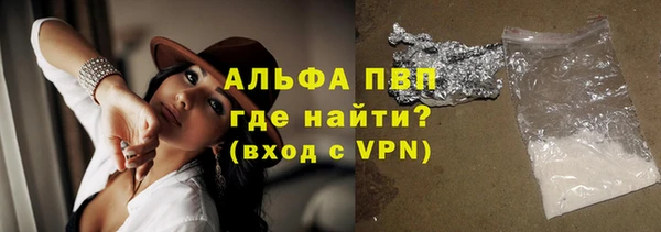 индика Елизово