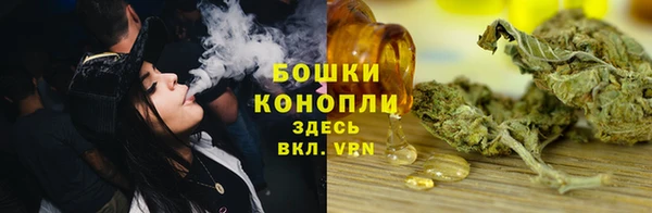 индика Елизово