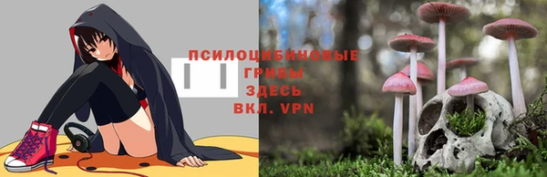 мефедрон мука Ельня