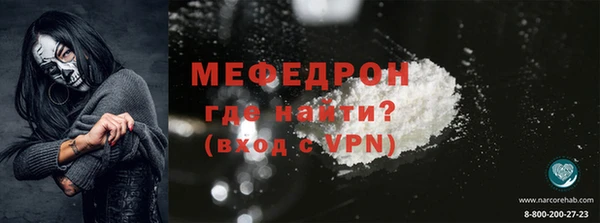 индика Елизово
