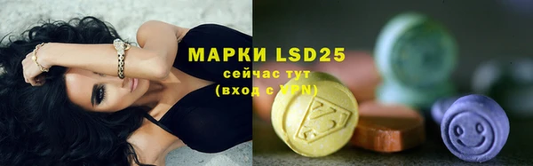 гидропоника Елабуга