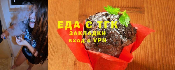 индика Елизово