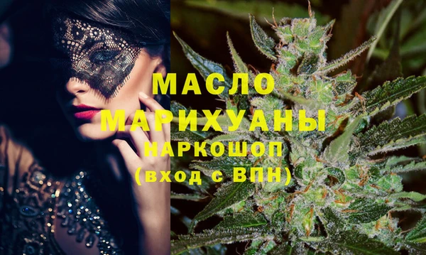 индика Елизово