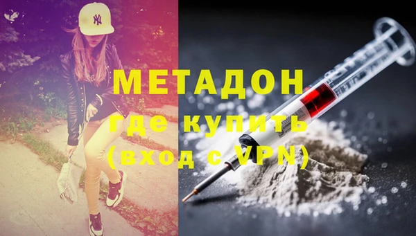 индика Елизово