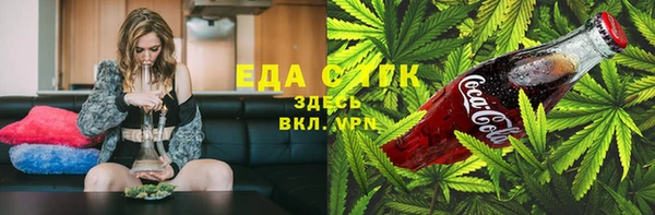 индика Елизово
