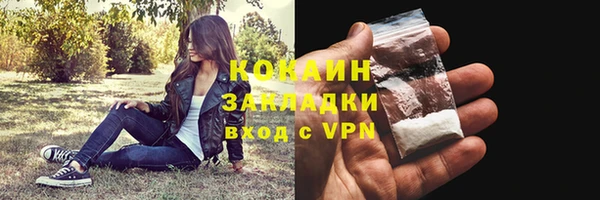 индика Елизово
