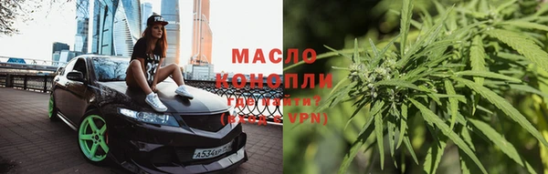 индика Елизово