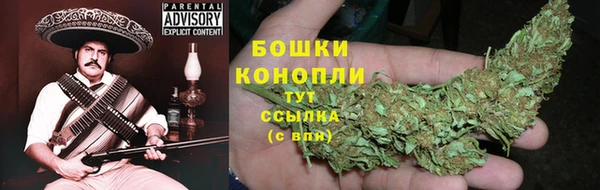 индика Елизово